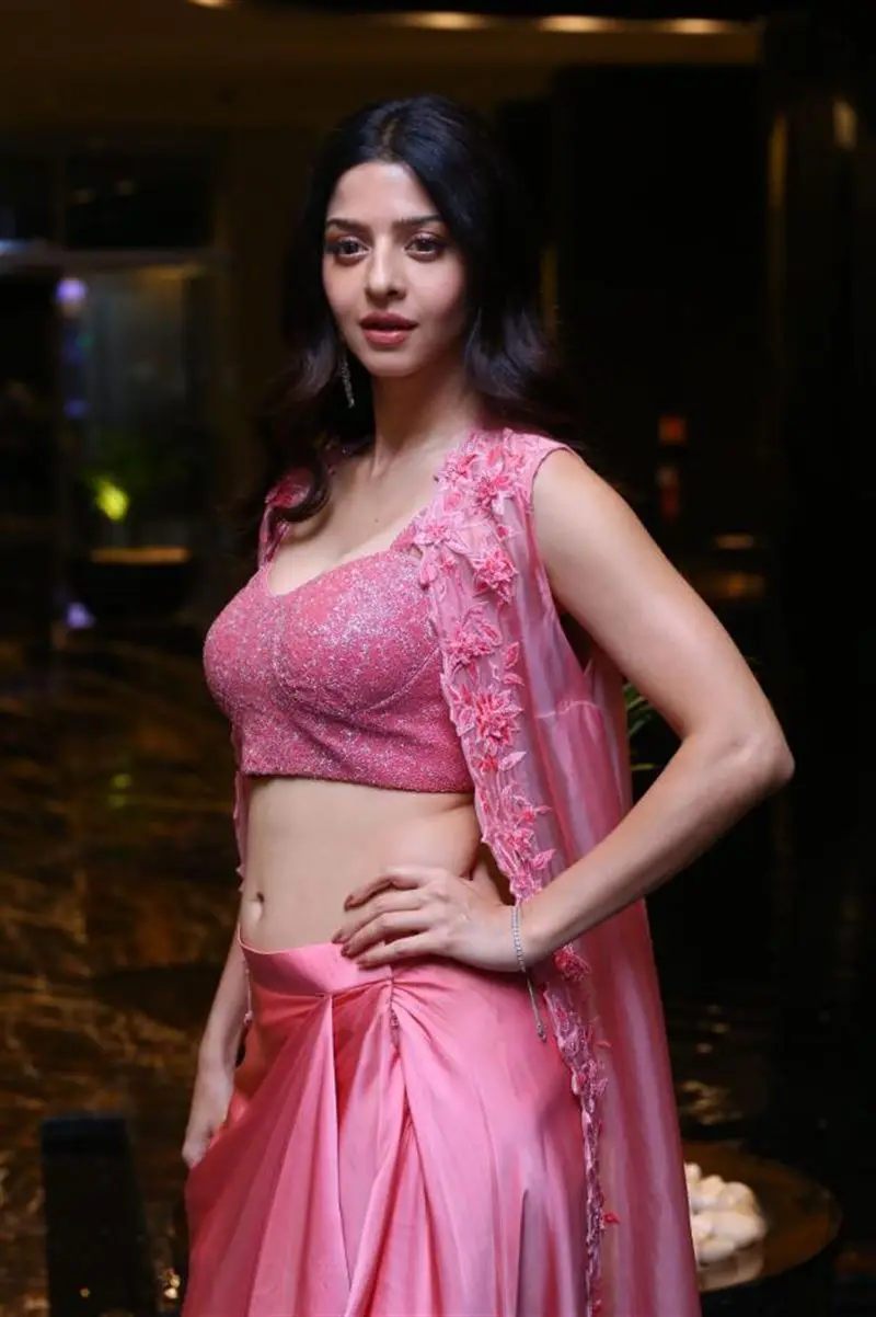 Vedhika at Razakar Movie Pre Release Event